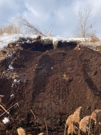 Top soil 