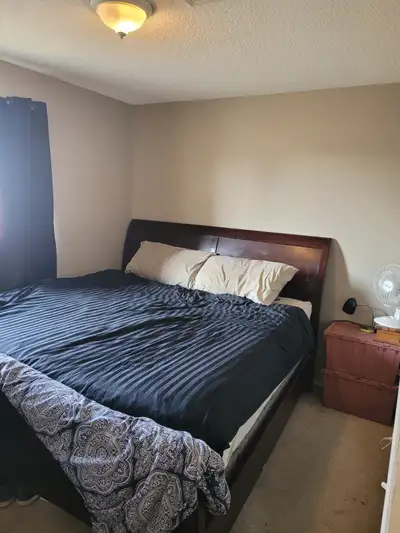 Room for Rent, Working Adult, Pets Upon Approval,Coventry July 1