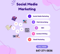 Top Digital Marketing Expert-Boost Ur Business-Ads/Social Media