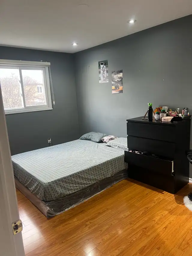 Room for Rent