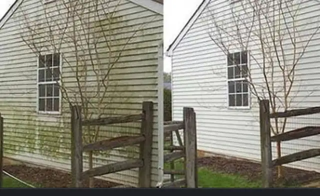 Total Powerwash, resanding and sealing62865710797058124