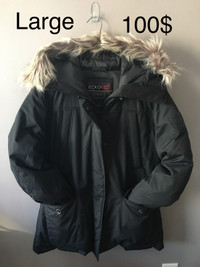 Women’s Winter Coat Size Large 