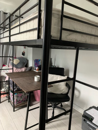 Full Loft bed frame 