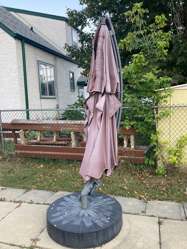 PENDING umbrellas Free Stuff Winnipeg Kijiji