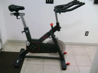 Sunny Fitness Exercise Spin Bike, View more