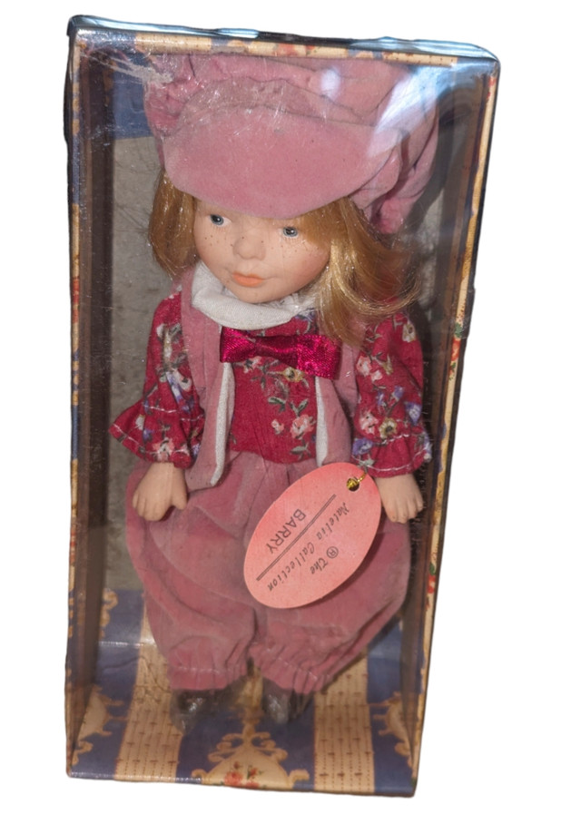 Doll with the box in Toys & Games in Windsor Region