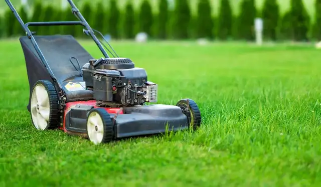 Lawncare worker for hire62863723701377125