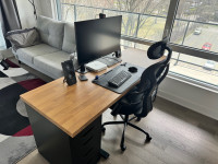 Standing desk and desktop monitor