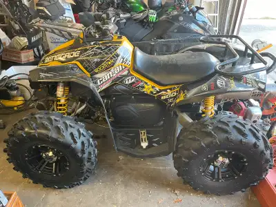2010 renagade 800 xxc with all New seals bearings new cv tech clutch u joints coil and plugs any lea...