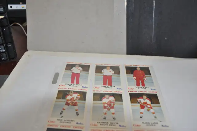 MONCTON GOLDEN FLAMES AHL TEAM SET w / MIKE VERNON & JOEL OTTO + in Arts & Collectibles in Victoriaville - Image 4