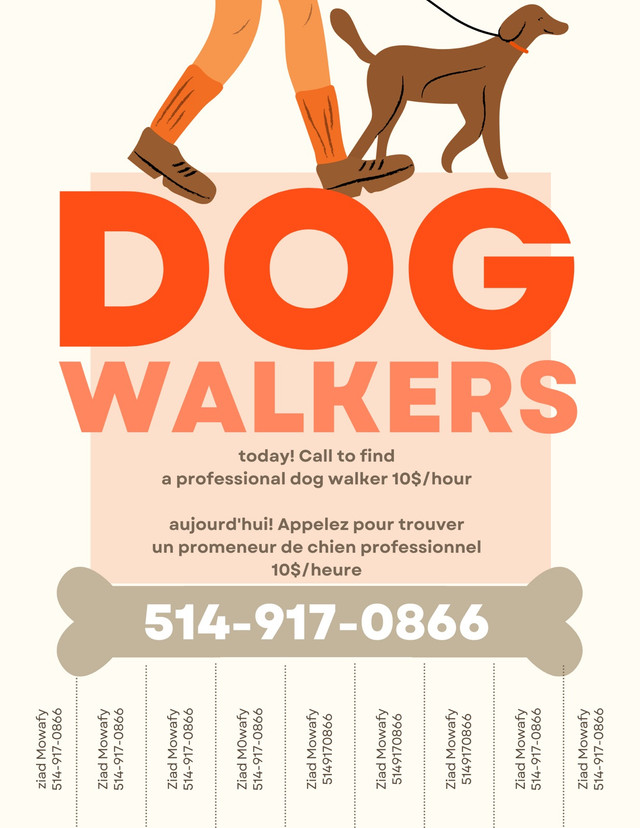 Dog walker/promeneur de Chien dans Services pour animaux  à Laval/Rive Nord