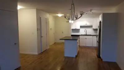 Beautiful, cozy downtown apartment. 1bdrm 1bath and balcony Beautiful views, close to all the amenit...