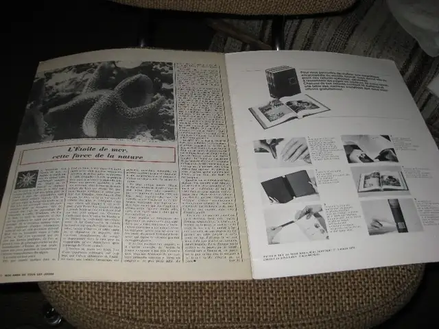 LIVRE EN ANGLAIS  - ZEBRA FINCHES  (PINSONS) - MERVIN F. ROBERTS in Arts & Collectibles in Laval / North Shore - Image 10