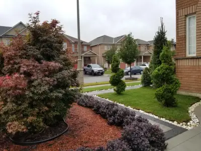 Two bedroom newly renovated legal basement available in Brampton, View more