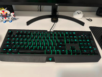 Razer Mechanical Gaming Keyboard
