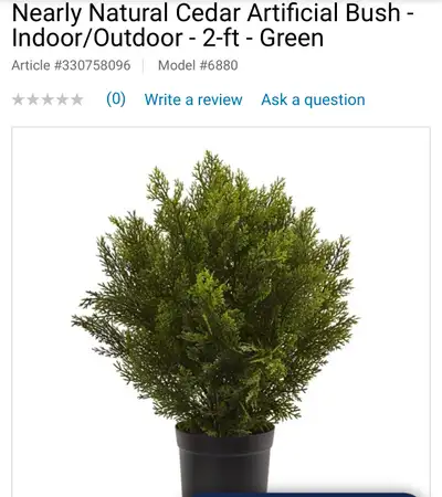 I have 2 new cedar bushes. They have life like cedar details and are 2’ high. They retail for $112 e...