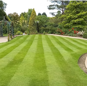Lawn Mowing, View more