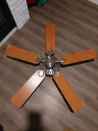 Ceiling fan