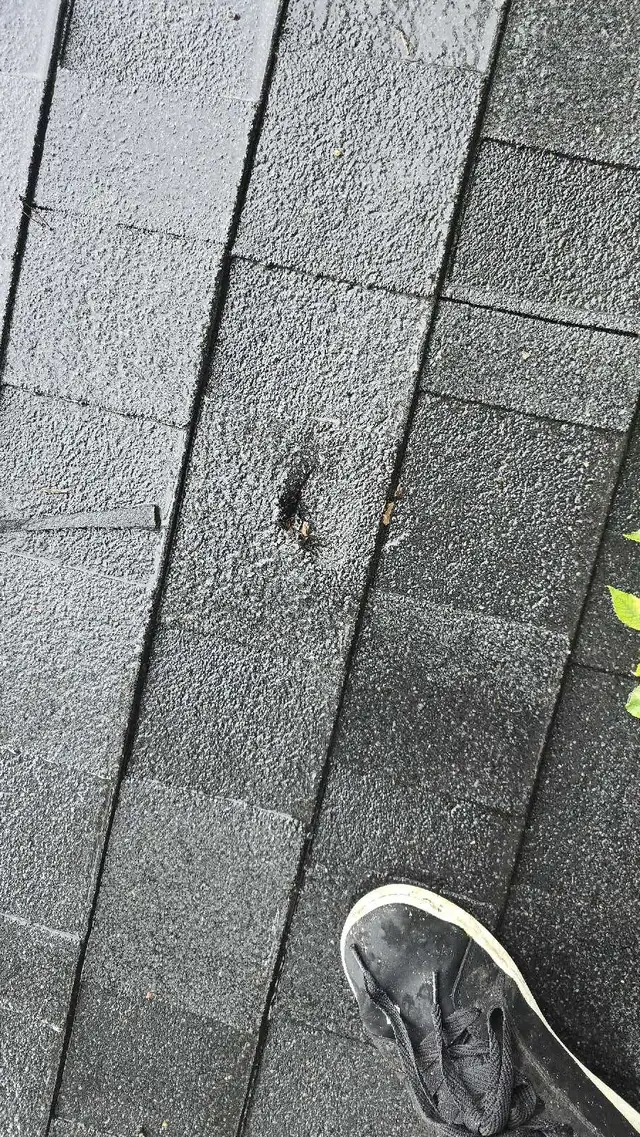 Shingle Repairs Starting at 175$ BEST RATES!! SAME DAY!65561287345283126