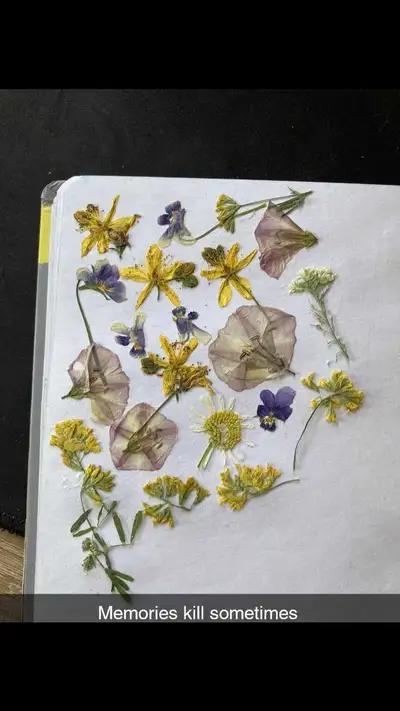 In search of an apartment in the st stephen or surrounding areas