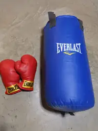 Everlast Boxing bag and gloves