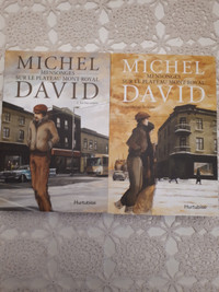 LIVRE MICHEL DAVID