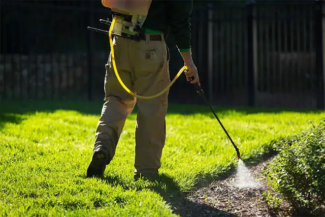 Lawn Care & Weed Control Services62864354599811123