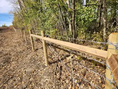 I’m doing custom fencing and olso building decks for houses in the area. I’d be willing to travel up...