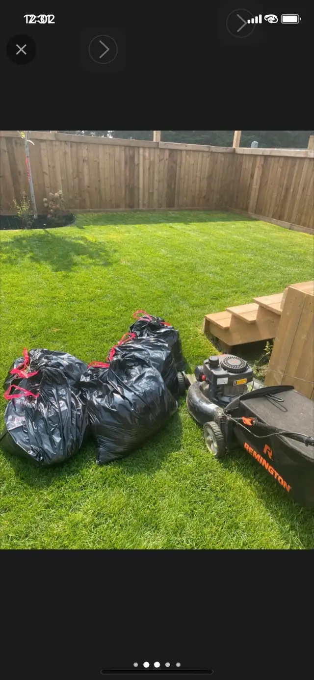 Residential Lawn Mowing/Services 780-275-031063235361559937122