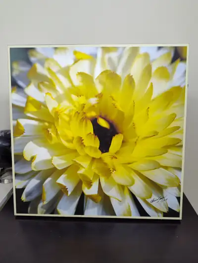 Wall Picture Frame, View more