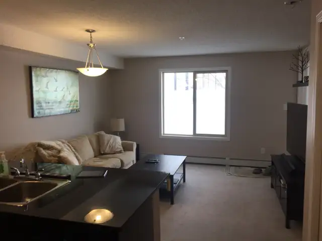 2 bedroom condo SW Ellerslie