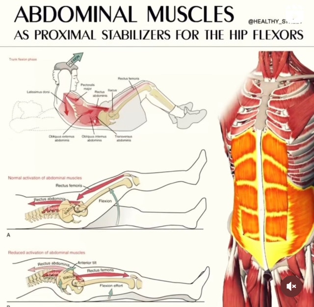 95/hr Deep Tissue Relaxation Massage Myofascia & Reflexology Health
