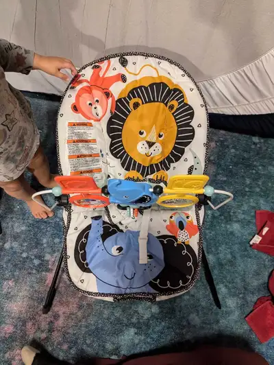 Fisher Price bouncy chair. Sturdy (has been used by 4+ neices / nephews / my little one)