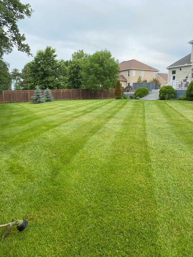 Charleswood/St James/Headingly spring clean ups and lawn care!! in Lawn, Tree Maintenance & Eavestrough in Winnipeg - Image 2