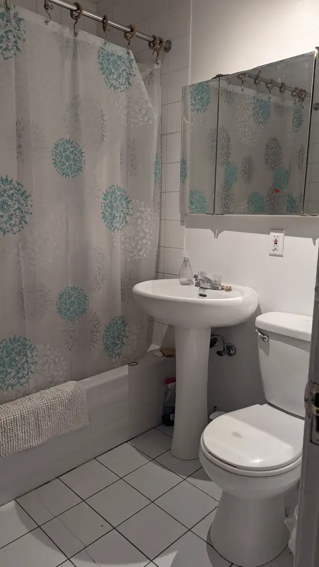 Nice room for rent on the plateau63235912151299124