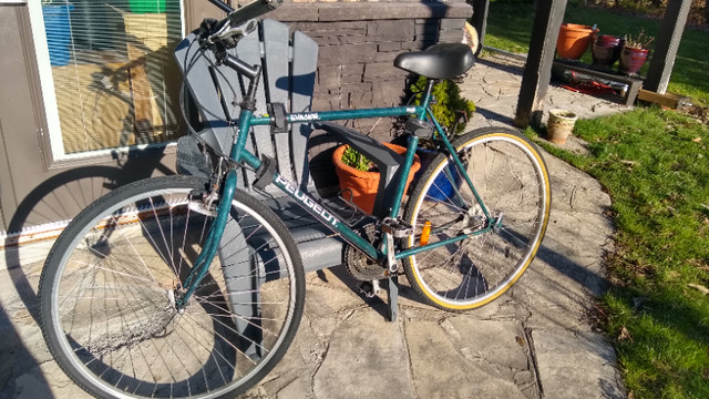 Men's bicycle 21 speed in Road in Grand Bend