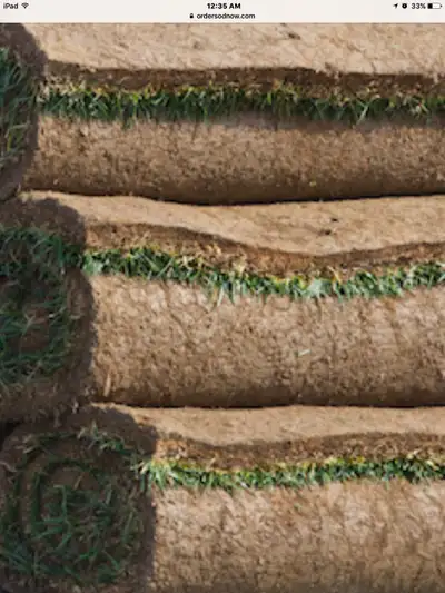 Premium Farm Fresh Kentucky Bluegrass Sod – Cut Daily from Our Fields! We supply homeowners, contrac...