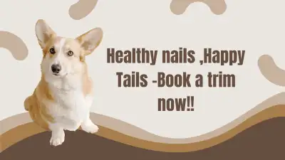 dog nail trimming, View more