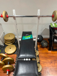 Zoo York bench press and weights