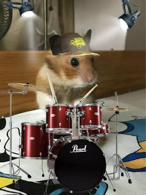 Looking for a Drummer