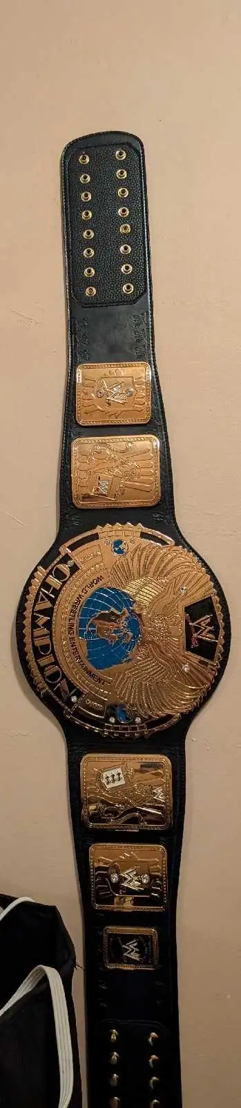 WWE world championship , View more