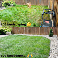 Cleanup & grass cutting & landscape 