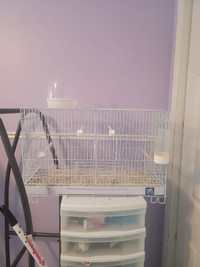 Cages, accessoires,  canaries 