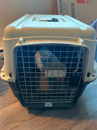 Per carrier/crate/kennel (IATA approved)