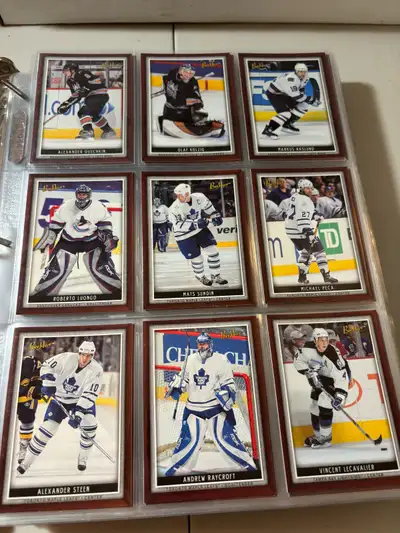 06-07 Bee Hive hockey cards complete base set 1-100, also included in price is, 3 rookie cards, 23 m...