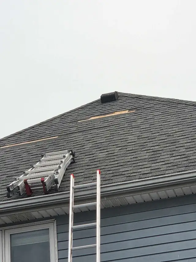 25% OFF ROOF REPAIRS560635979949025288