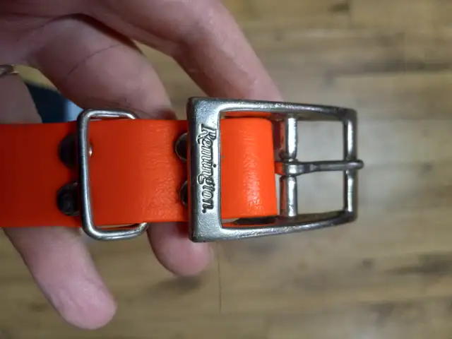 Orange dog blanket and orange biothane collar in Accessories in Owen Sound - Image 4