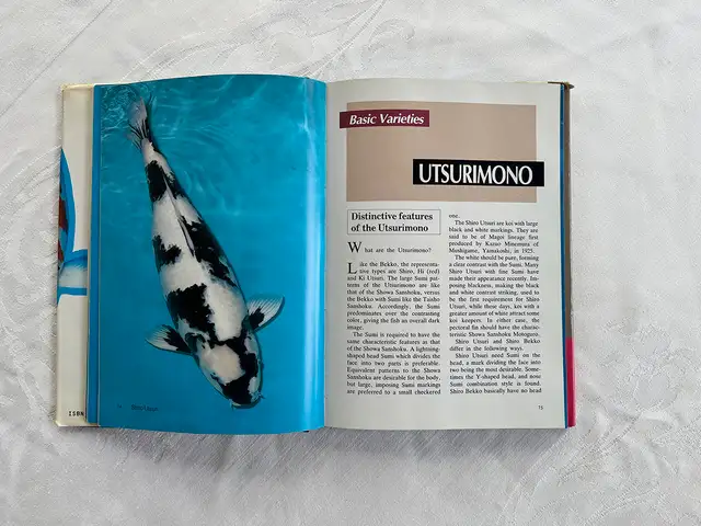 Modern Nishikigoi – Hardcover by Takeo Kuroki in Other in City of Toronto - Image 7