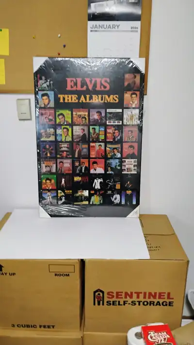 Elvis The Albums Framed Art, View more