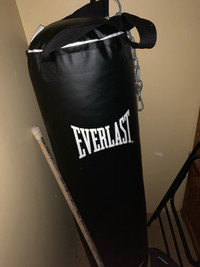 Everlast boxing bag 